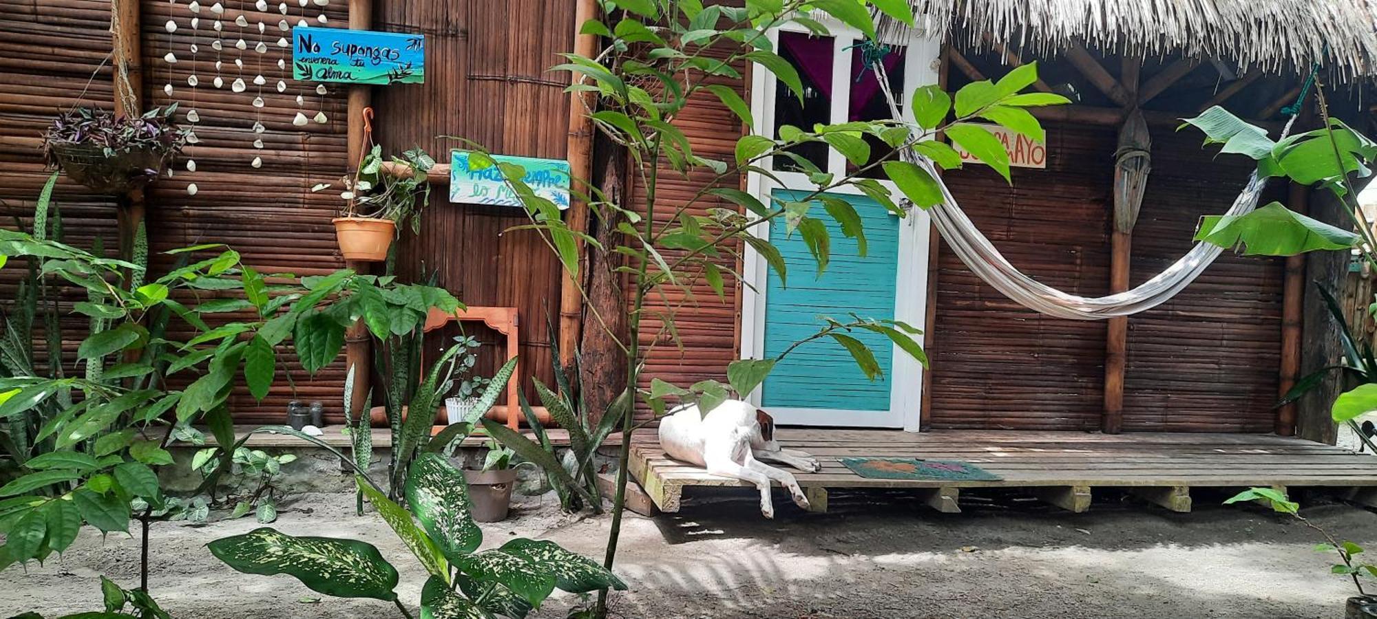 Raices Mompiche Hotel Cameră foto
